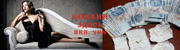ГАЛЛЮЦИНОГЕННЫЕ ГРИБЫ Абаза