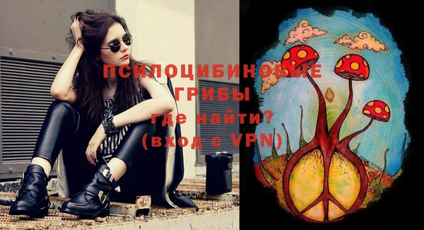 ГАЛЛЮЦИНОГЕННЫЕ ГРИБЫ Абаза