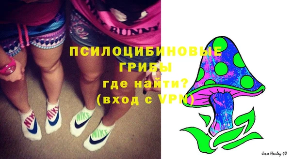 ГАЛЛЮЦИНОГЕННЫЕ ГРИБЫ Абаза