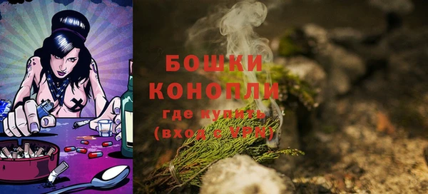 ГАЛЛЮЦИНОГЕННЫЕ ГРИБЫ Абаза