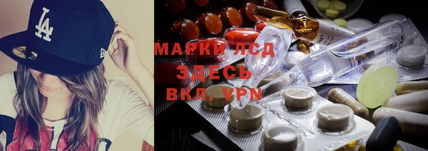 ГАЛЛЮЦИНОГЕННЫЕ ГРИБЫ Абаза
